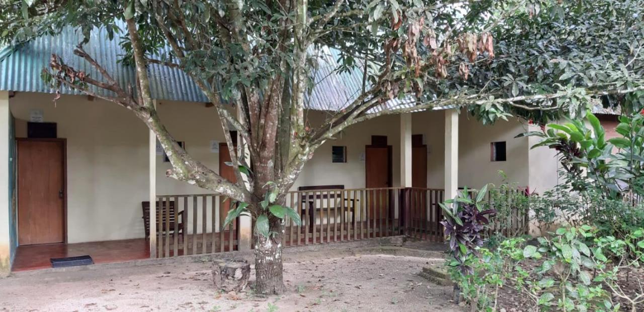 Centro Ecoturistico Ya'Ajche Hotel Lacanja Bagian luar foto