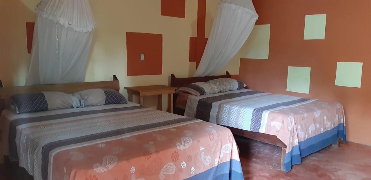 Centro Ecoturistico Ya'Ajche Hotel Lacanja Bagian luar foto