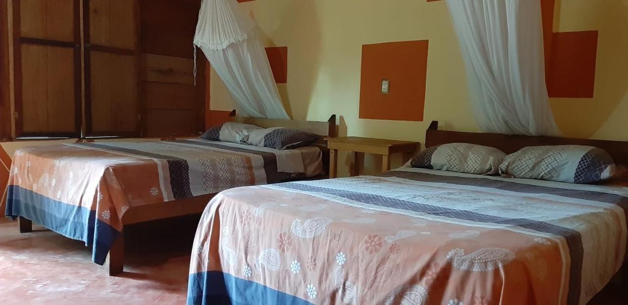 Centro Ecoturistico Ya'Ajche Hotel Lacanja Bagian luar foto