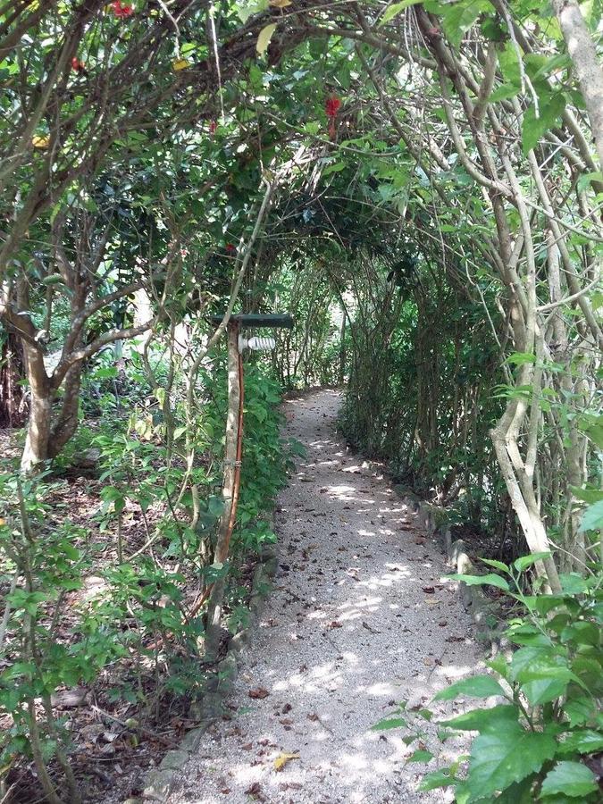 Centro Ecoturistico Ya'Ajche Hotel Lacanja Bagian luar foto